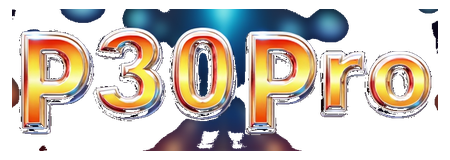 p30 pro logo